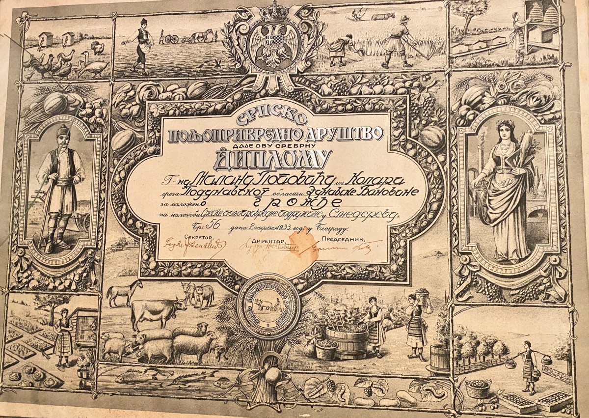 Srebrna diploma Srpskog poljoprivrednog društva iz 1933.