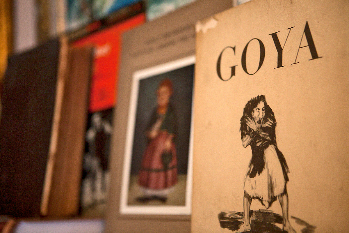 Goja : Goya i druge knjige