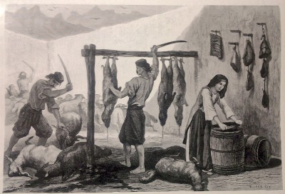 Klanje ovaca u Crnoj Gori 1877. god.