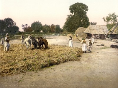 Konji : Seoski prizori iz Bosne oko 1890-1900 (2) HQ