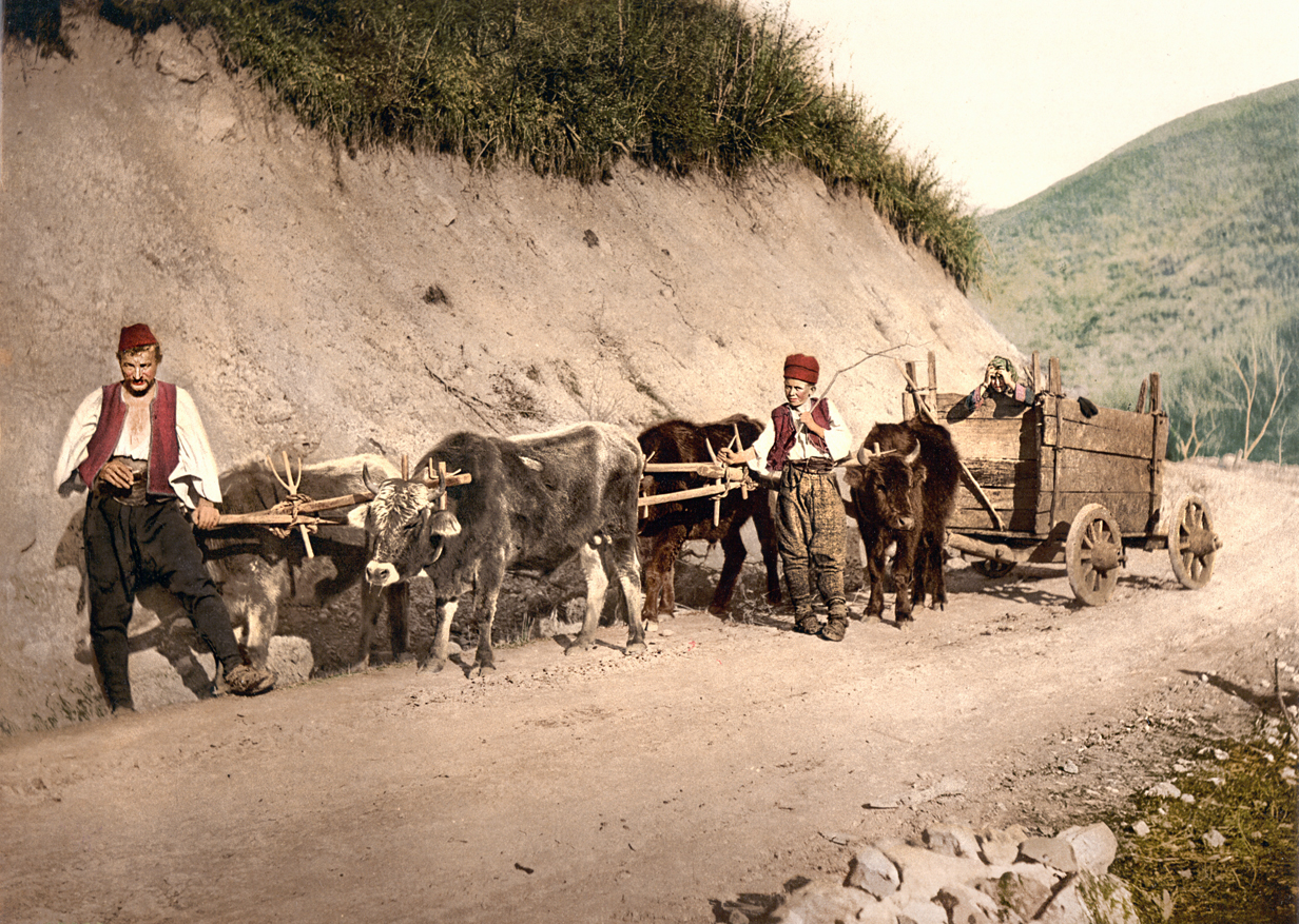 Seoska zaprega u Bosni oko 1900. godine (HQ)