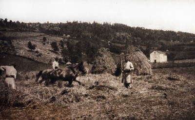 Ljudi na radu u polju između Užica i Kremne oko 1920.